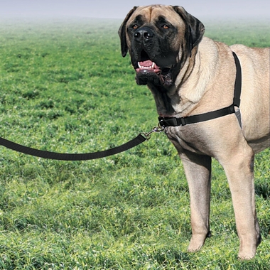 PETSAFE-EASY-WALK-HARNESS-X-LARGE-BLACK