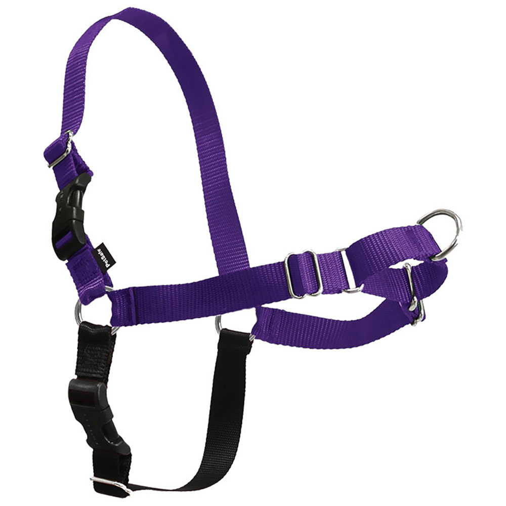 PETSAFE-EASY-WALK-HARNESS-LARGE-DEEP-PURPLE