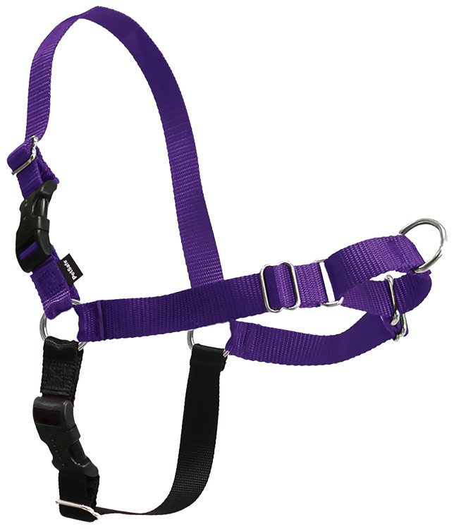 PETSAFE-EASY-WALK-HARNESS-LARGE-DEEP-PURPLE