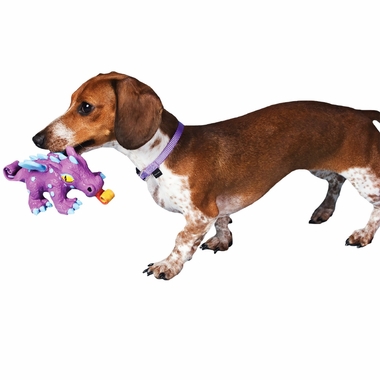 PETSAFE-SQUEEZE-MEEZE-JR