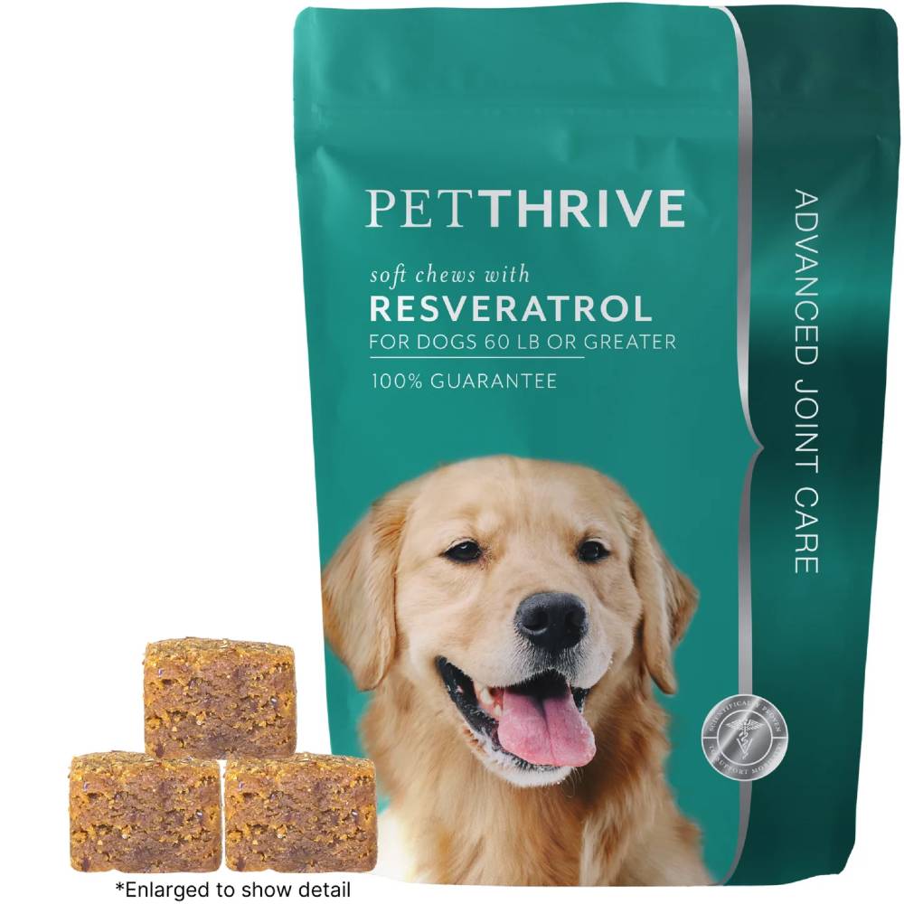 PETTHRIVE18