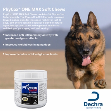 Older adult german shephard facing camera next to phycox max soft chew container and list of benefits