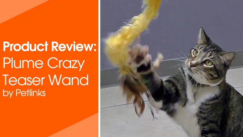  Plume Crazy Teaser Wand by Petlinks 