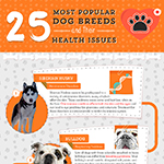 Popular Dog Breeds And Their Health Issues
