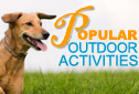 Popular Products for Outdoor Pet Activities