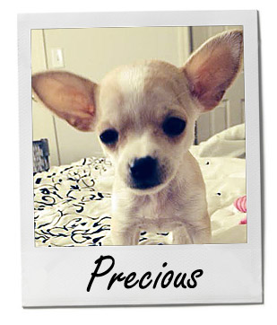 Precious 3/18/14