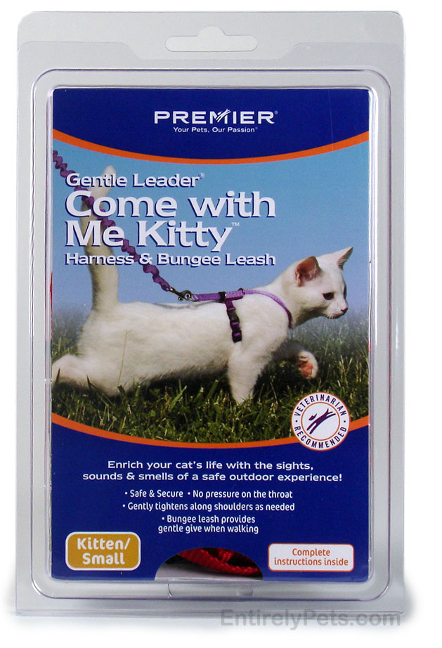 Premier "Come with Me Kitty" Cat Harness & Bungee Leash