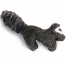 Premier Wild Raccoon