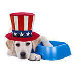 Presidents' Day Sale