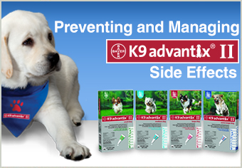 Preventing and Managing K9 Advantix II Side Effects