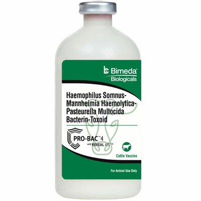 PRO-BAC-4-VACCINES-50-DOSE-100ML