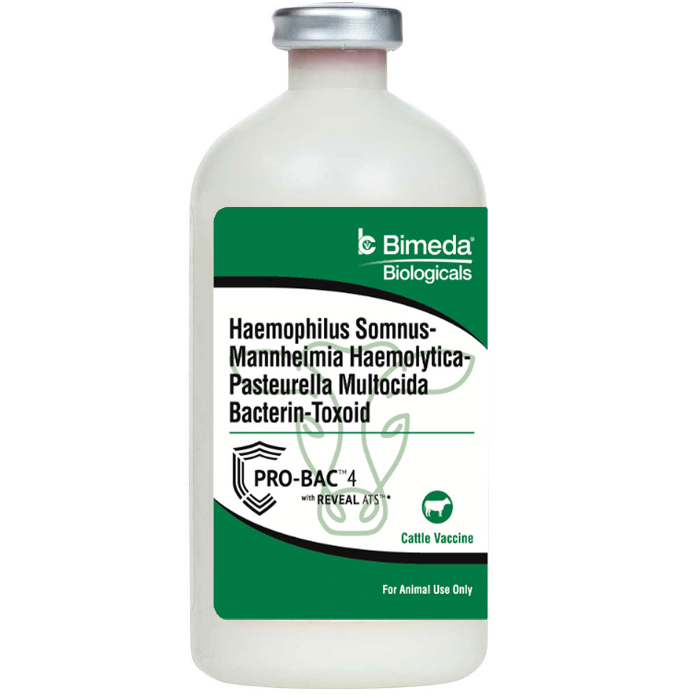 Pro-Bac Cattle Vaccine