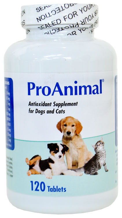 ProAnimal for Dogs and Cats