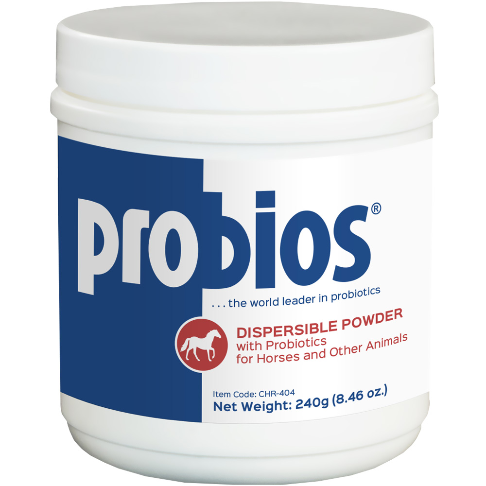 Probios Digestion Support