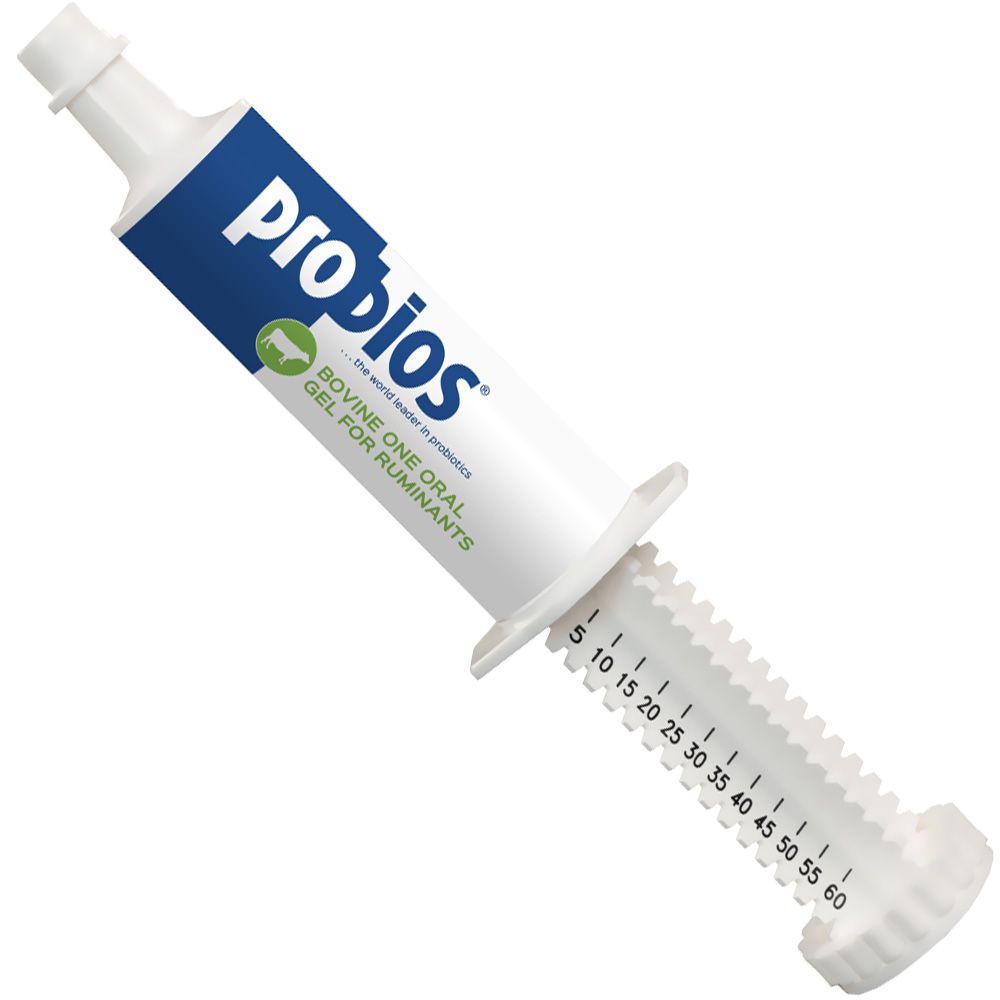 PROBIOS-HORSE-DIGESTIVE