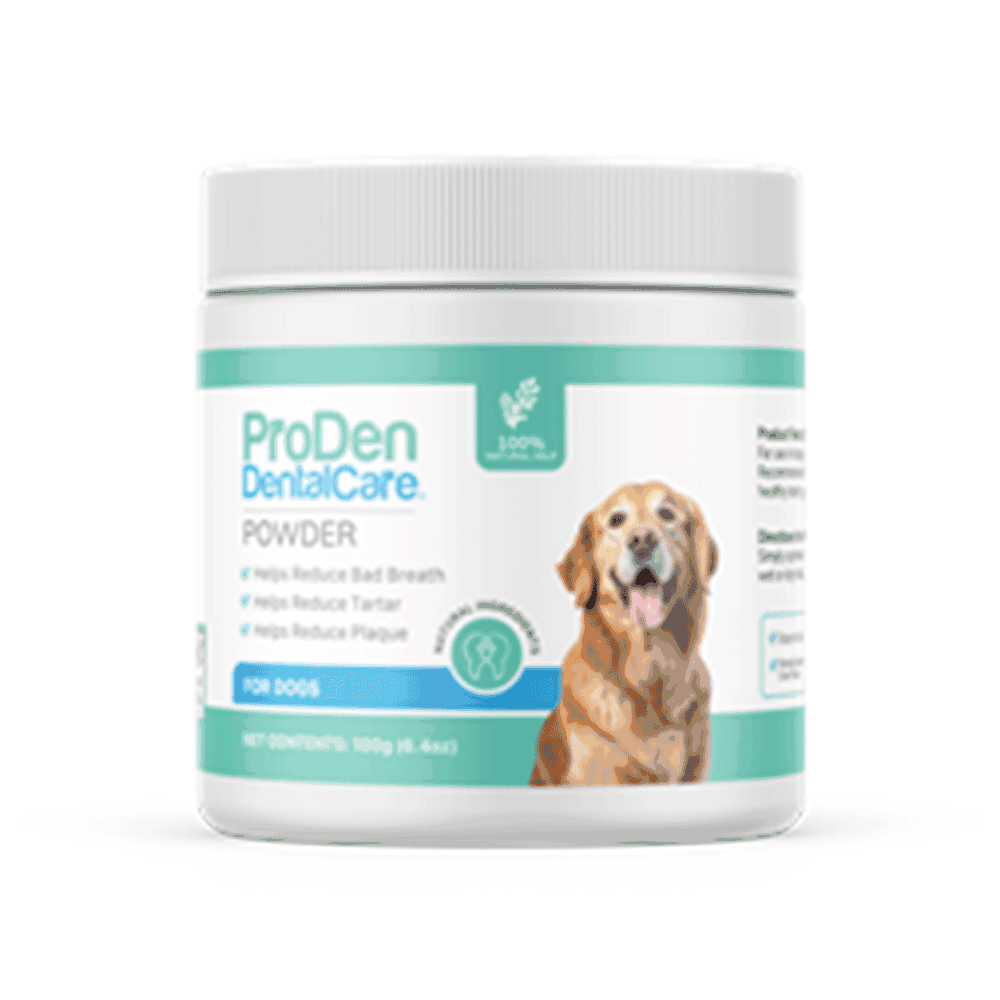 PRODEN-DENTALCARE-POWDER-180GM