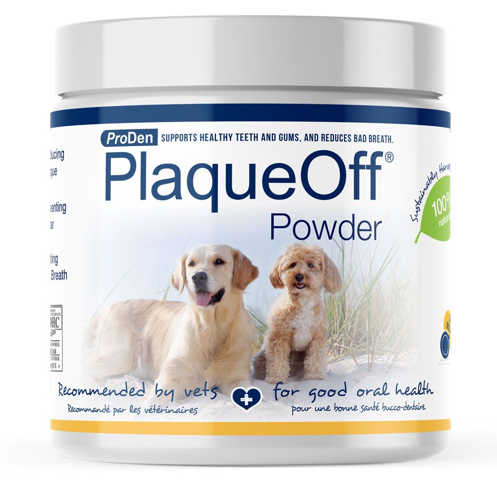 PLAQUEOFF1