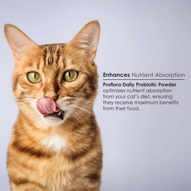 PROFLORA-PROBIOTIC-CATS-30-SERVINGS