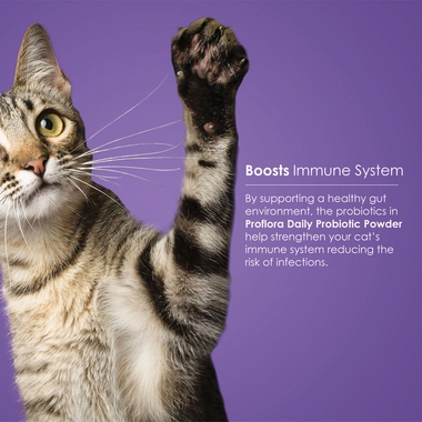 PROFLORA-PROBIOTIC-CATS-30-SERVINGS