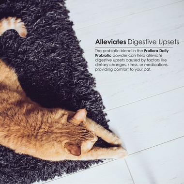 PROFLORA-PROBIOTIC-CATS-30-SERVINGS
