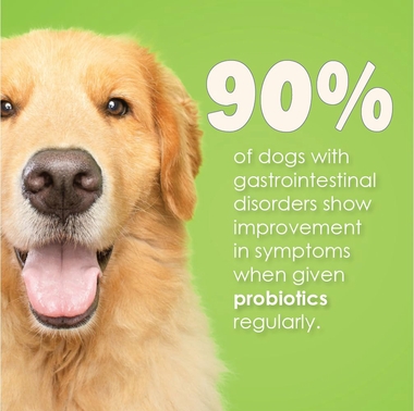 PROFLORA-PROBIOTIC-DOGS-30-SERVINGS