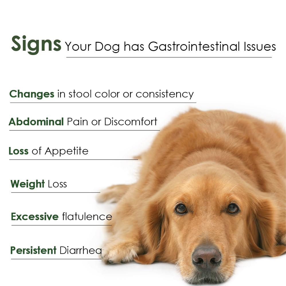 PROFLORA-PROBIOTIC-DOGS-30-SERVINGS