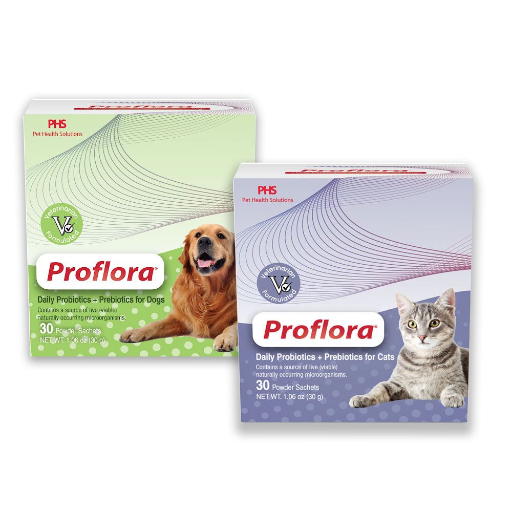 Proflora Probiotic Powder for Cats & Dogs