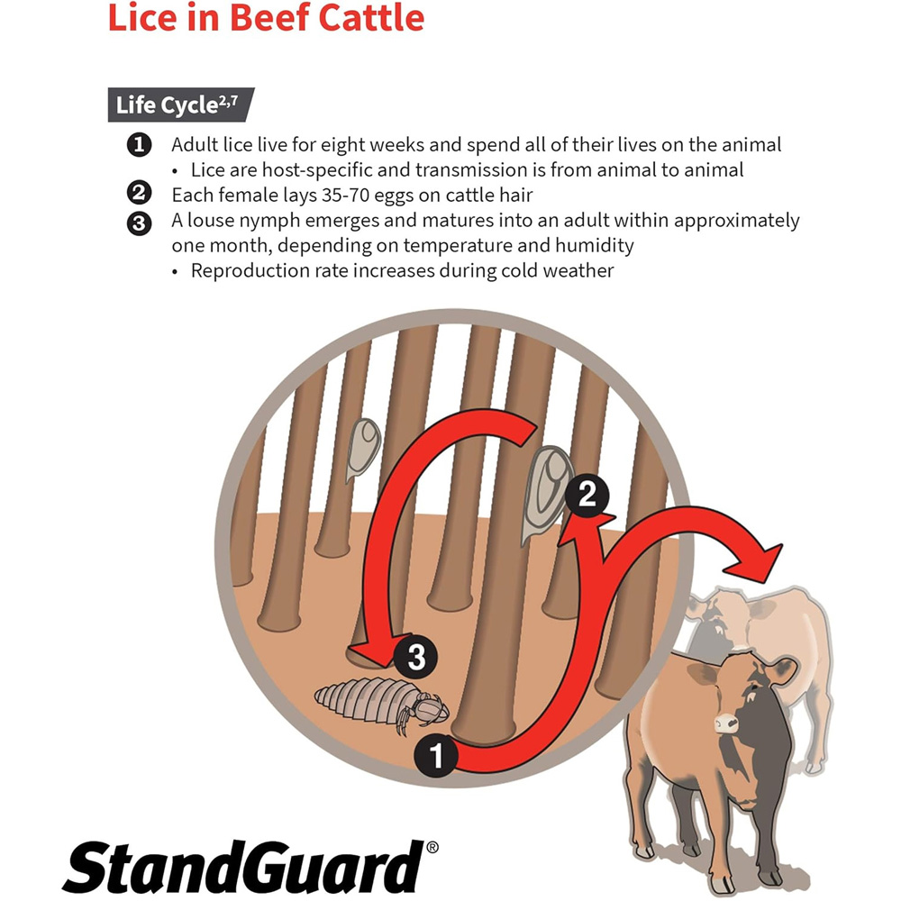 PROZAP-STANDGUARD-POU-ON-INSECTICIDE-4-5-LITTERS