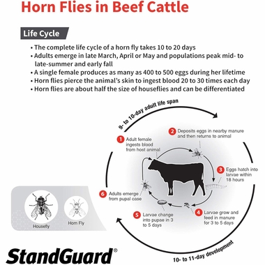 PROZAP-STANDGUARD-POU-ON-INSECTICIDE-4-5-LITTERS