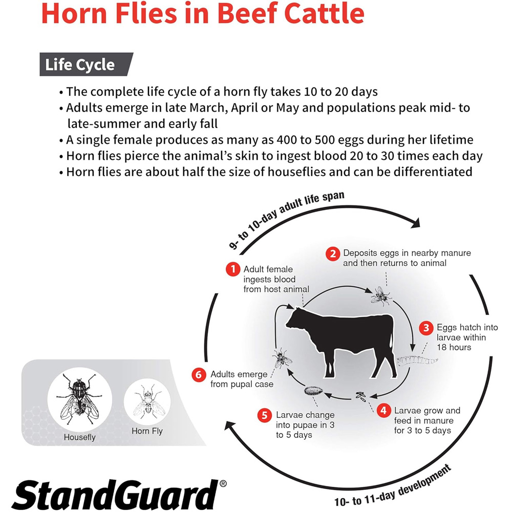 PROZAP-STANDGUARD-POU-ON-INSECTICIDE-4-5-LITTERS