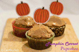 Pumpkin Carrot Pupcakes Dog Treat Recipe