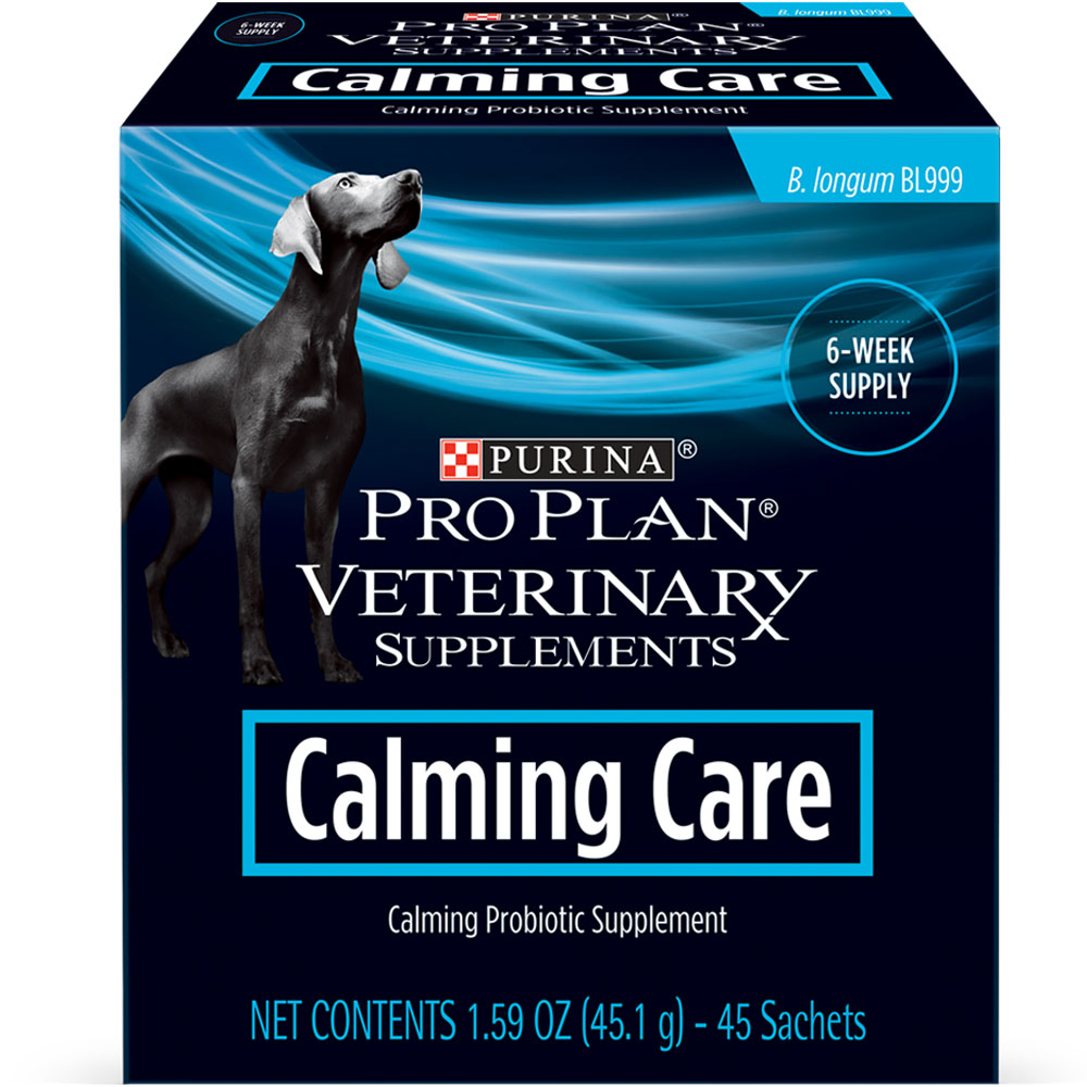 Anxiety Meds for Dogs, Calming Aids & More EntirelyPets