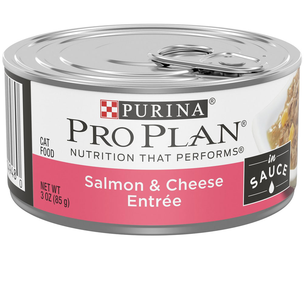 Purina Focus & Savor Wet Cat Food