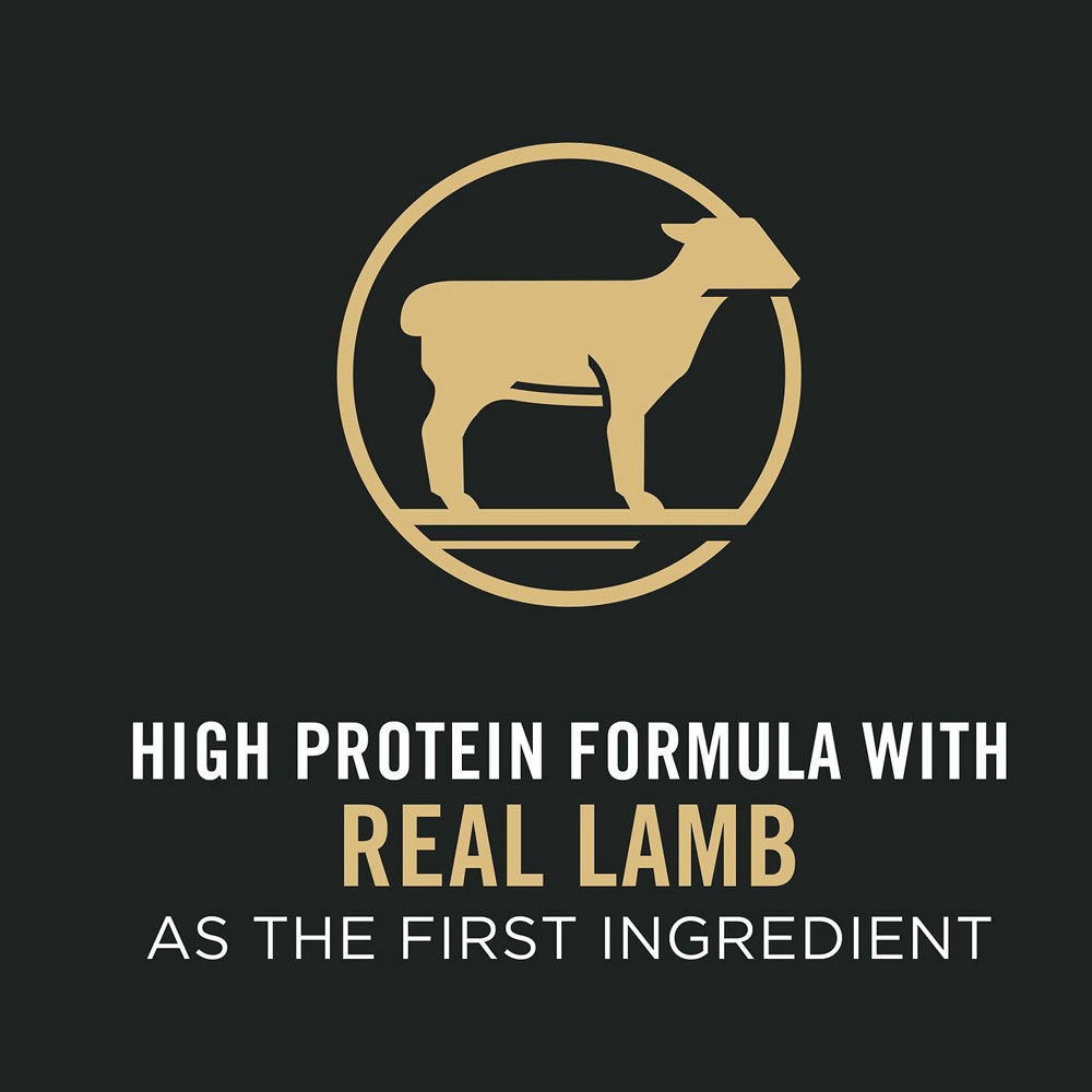 Purina Pro Plan All Life Stages Small Bites Lamb & Rice Formula Dry Dog Food, 37.5lb bag On