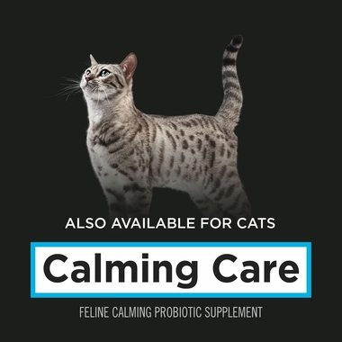 PURINA-CALMING-CARE-3-PACK