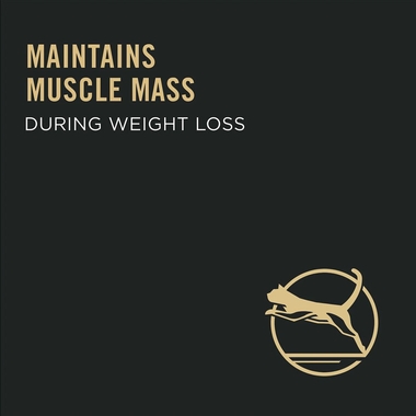 PURINA-PRO-PLAN-CAT-WEIGHT-MANAGEMENT-16-LB