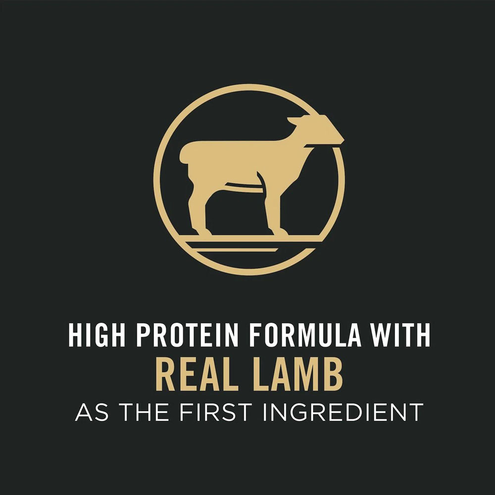 Purina Pro Plan Small Bites Lamb & Rice Formula High Protein, High