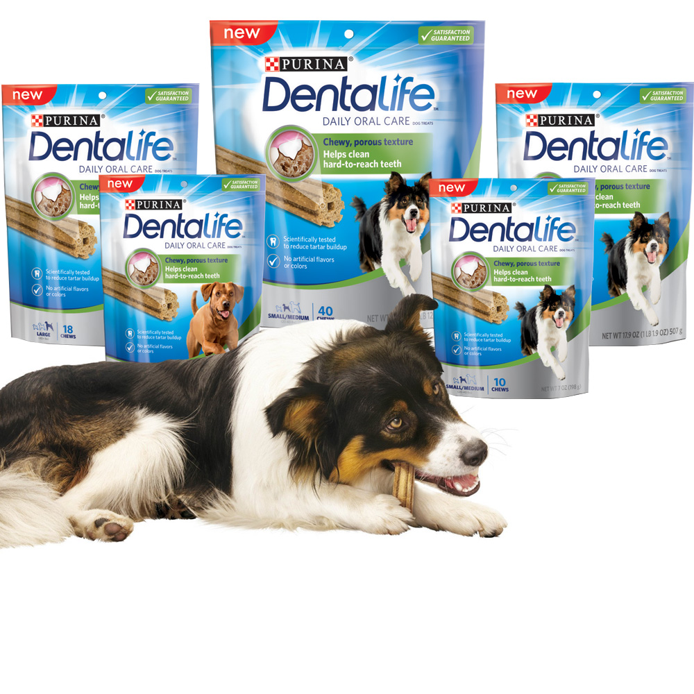Purina DentaLife