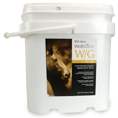 WELLSOLVE25