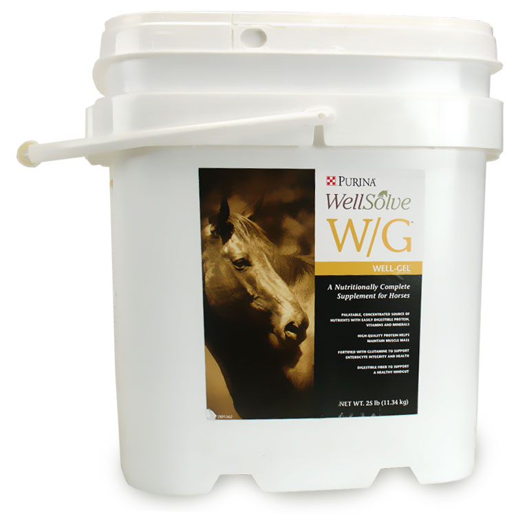 WELLSOLVE25