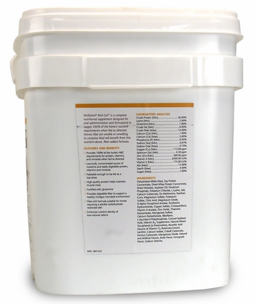 WELLSOLVE25