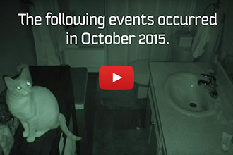 Purranormal Cativity: When Things Go "Meow" In the Night