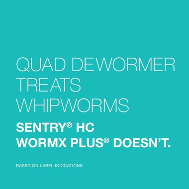 QUAD-DEWORMER-FOR-LARGE-DOGS