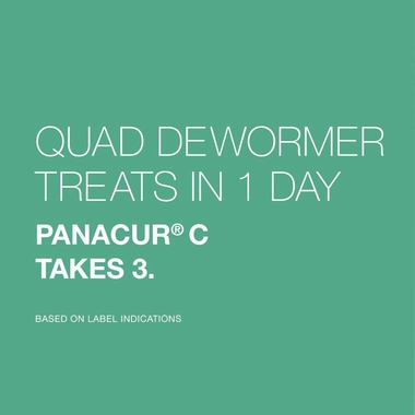 QUAD-DEWORMER-FOR-SMALL-DOGS