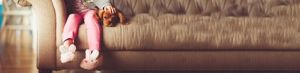 Quiz: Is it Poisonous for a Dog, a Cat, Neither or Both?