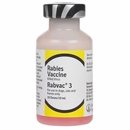 Rabvac 3 (10 Doses)