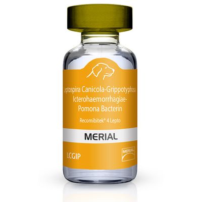 RECOMBITEK-4-LEPTO-LCGIP-50X1-DOSE