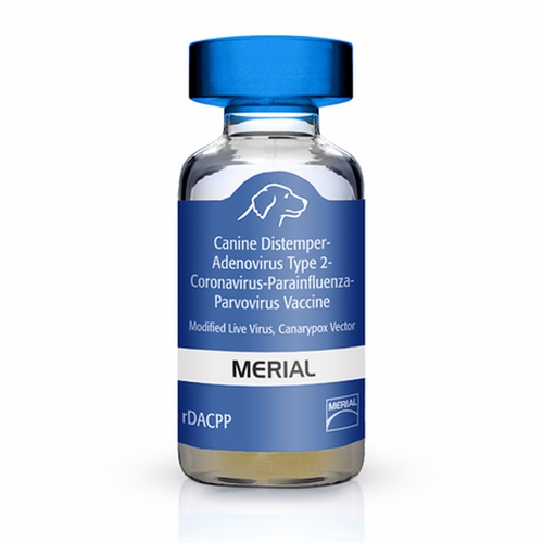 Recombitek C4/CV (rDAPP), 25x1 dose | On Sale | EntirelyPets