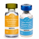 Recombitek C7 (rDAP-LCGIP), 25x1 dose