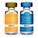 Recombitek C8 (rDAPP-LCGIP), 25x1 dose